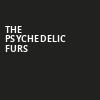 The Psychedelic Furs, Celebrity Theatre, Phoenix