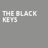 The Black Keys, Footprint Center, Phoenix