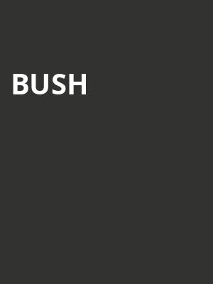 Bush Poster