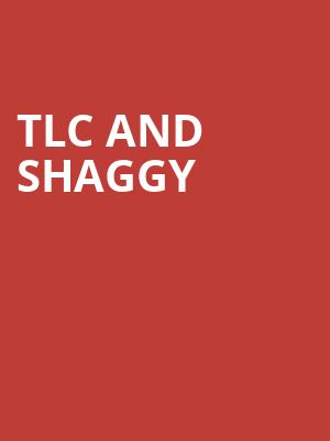 TLC and Shaggy, Ak Chin Pavillion, Phoenix