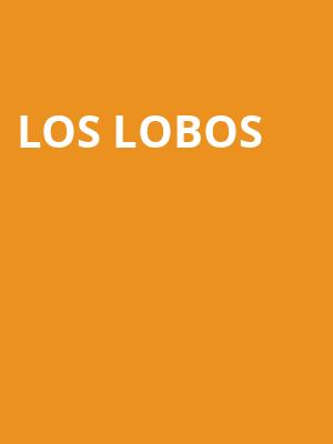 Los Lobos, Chandler Center for the Arts, Phoenix