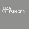 Iliza Shlesinger, Arizona Financial Theatre, Phoenix