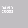 David Cross, The Van Buren, Phoenix
