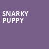 Snarky Puppy, Ikeda Theater, Phoenix