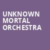 Unknown Mortal Orchestra, The Van Buren, Phoenix