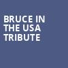 Bruce In The USA Tribute, Chandler Center for the Arts, Phoenix
