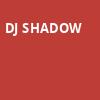 DJ Shadow, The Crescent Ballroom, Phoenix